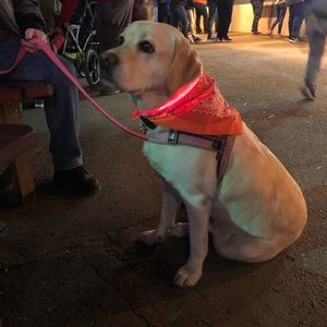 Meet your Posher, Jodi